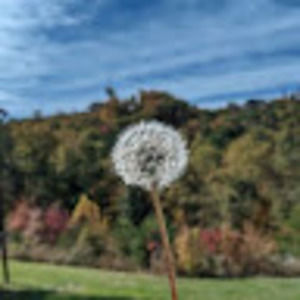 Meet your Posher, Jenny